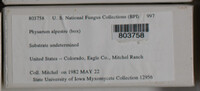 Image Associated With the Occurence